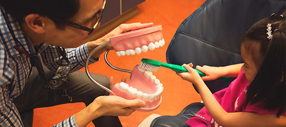 Dental Services For Children in Northwest Calgary